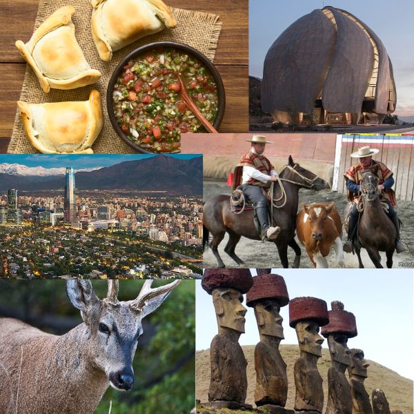 india-chile-business-and-cultural-council-about-chile